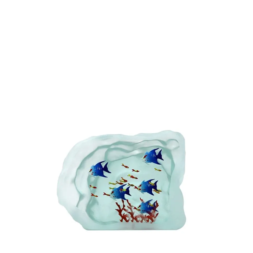 Aquarium poissons verre yves trucchi