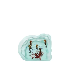 Aquarium poissons verre yves trucchi