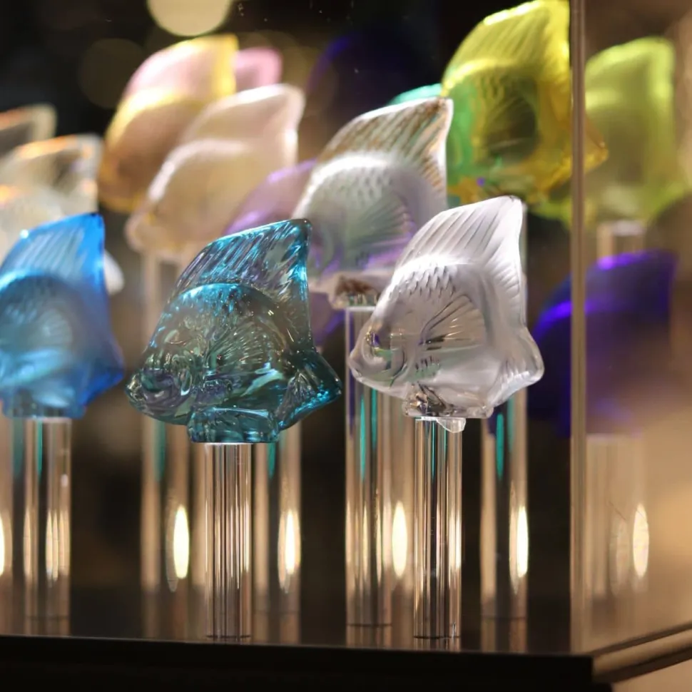 Base aquarium 25 poissons lalique + cloche