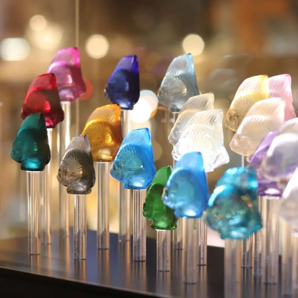 Base aquarium 25 poissons lalique + cloche