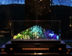 Base aquarium 100 poissons lalique + cloche