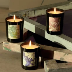 Bougie parfumée Figuier Amalfi Italie Lalique