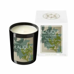 Bougie parfumée néroli Casablanca Lalique