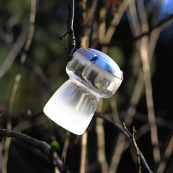 Boule de noël bouchon de champagne 2020
