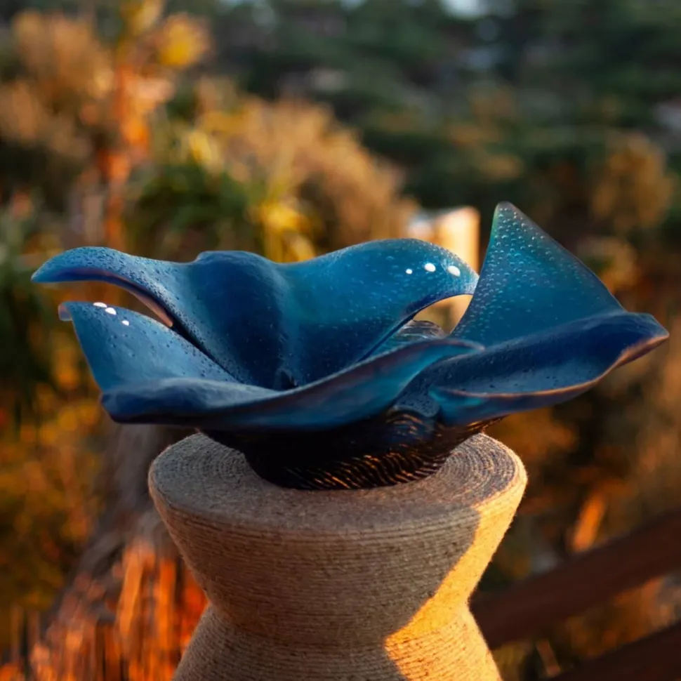 Centre de table Raies Maya Daum