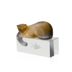 Chat ambre gris Daum