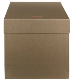 Chouette edwige ambre verte daum