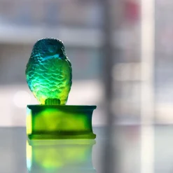 Chouette verte sur livre daum