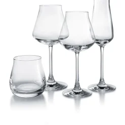 Château baccarat dégustation set