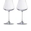 Château baccarat verre xl x2