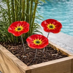 Coffret printemps fleurs d’extérieurs X3