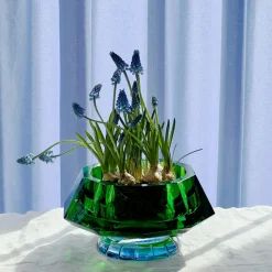 Coupe Lizzi Reflections Copenhagen