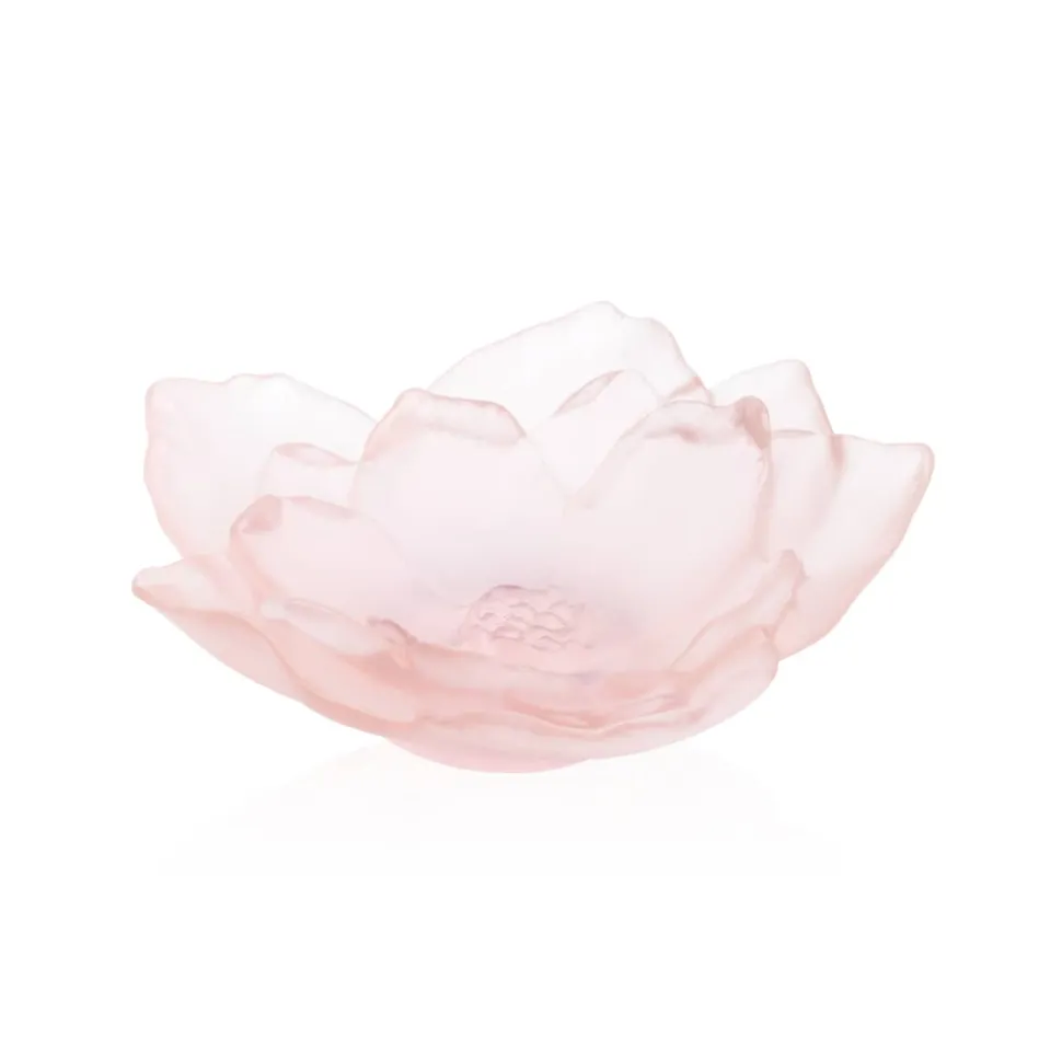 Coupe petit modèle camelia daum