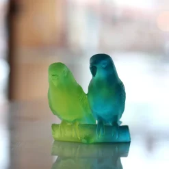 Couple perruches bleu daum