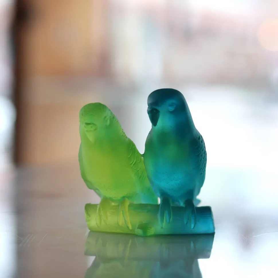 Couple perruches bleu daum