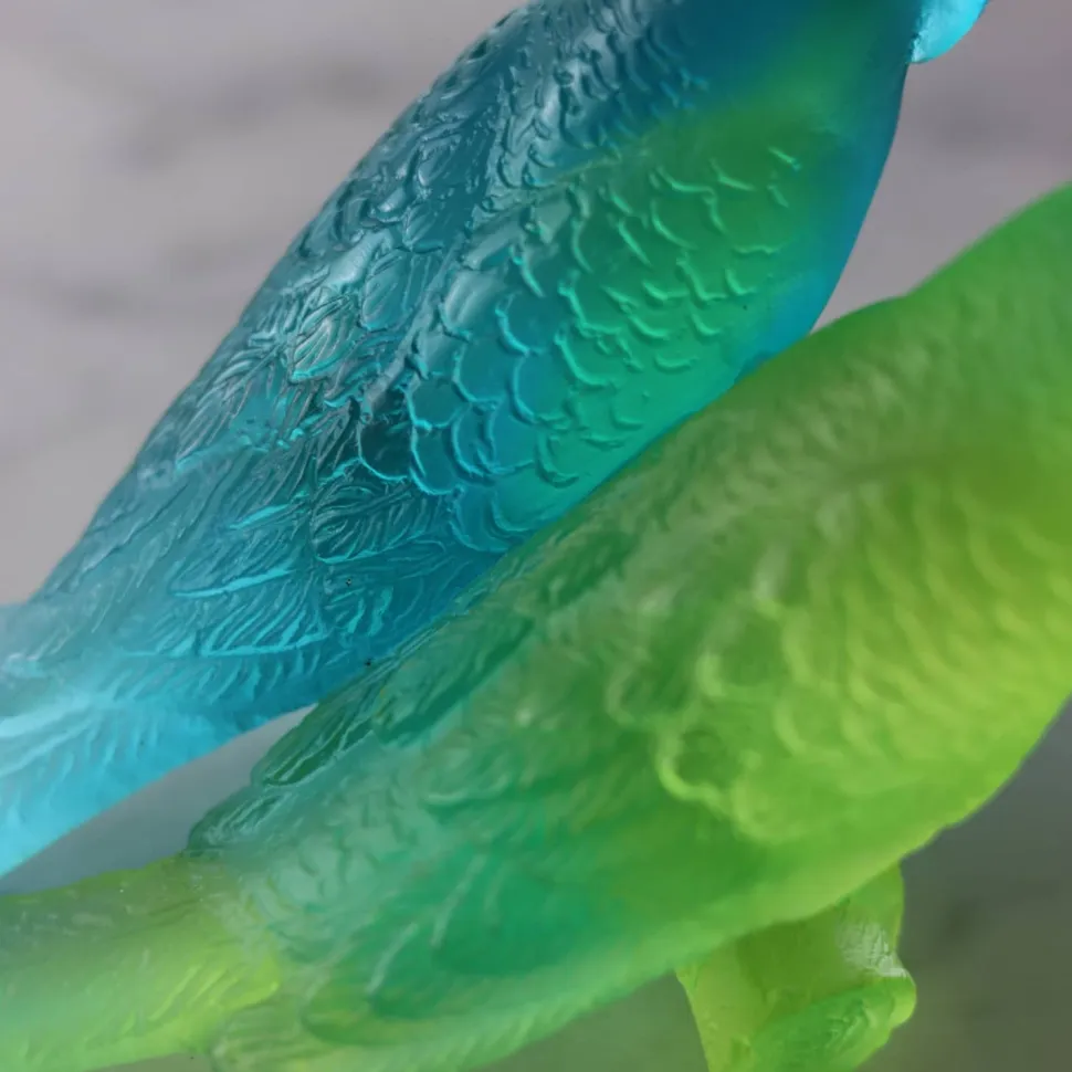 Couple perruches bleu daum