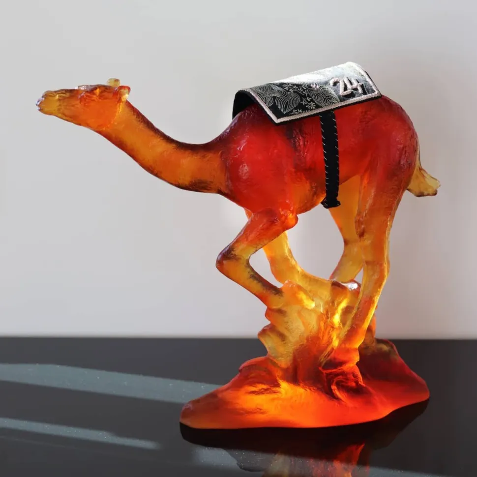 Dromadaire de course Daum