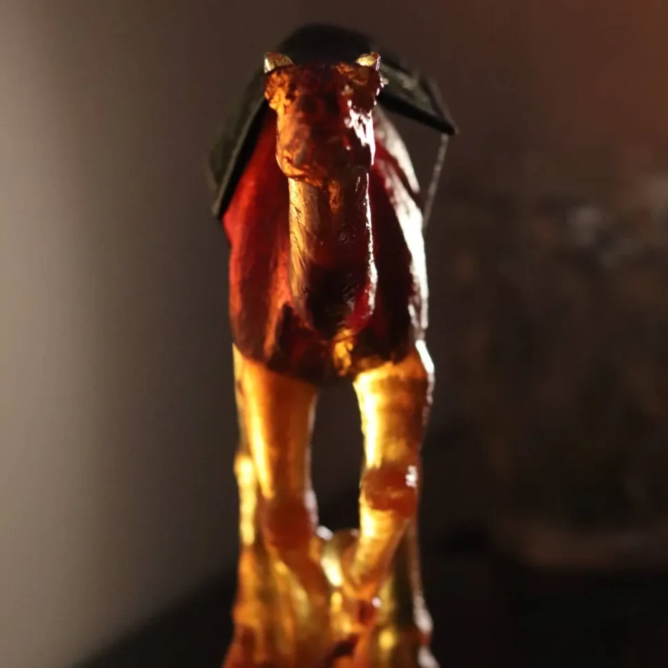 Dromadaire de course Daum