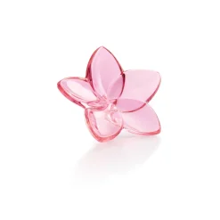 Fleur cristal the bloom baccarat