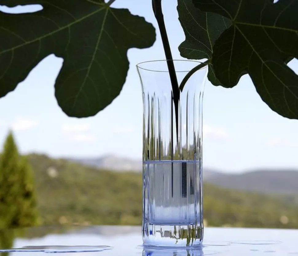 Flora vase biseau baccarat