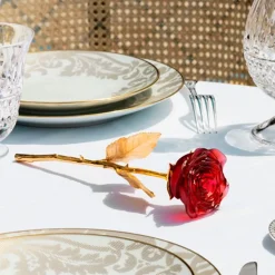 La rose éternelle daum