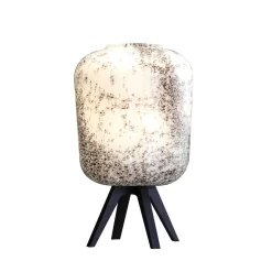 Lampe noord en verre incolore et or