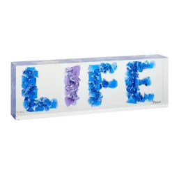 Life richard woleck et jean-françois bollié Daum