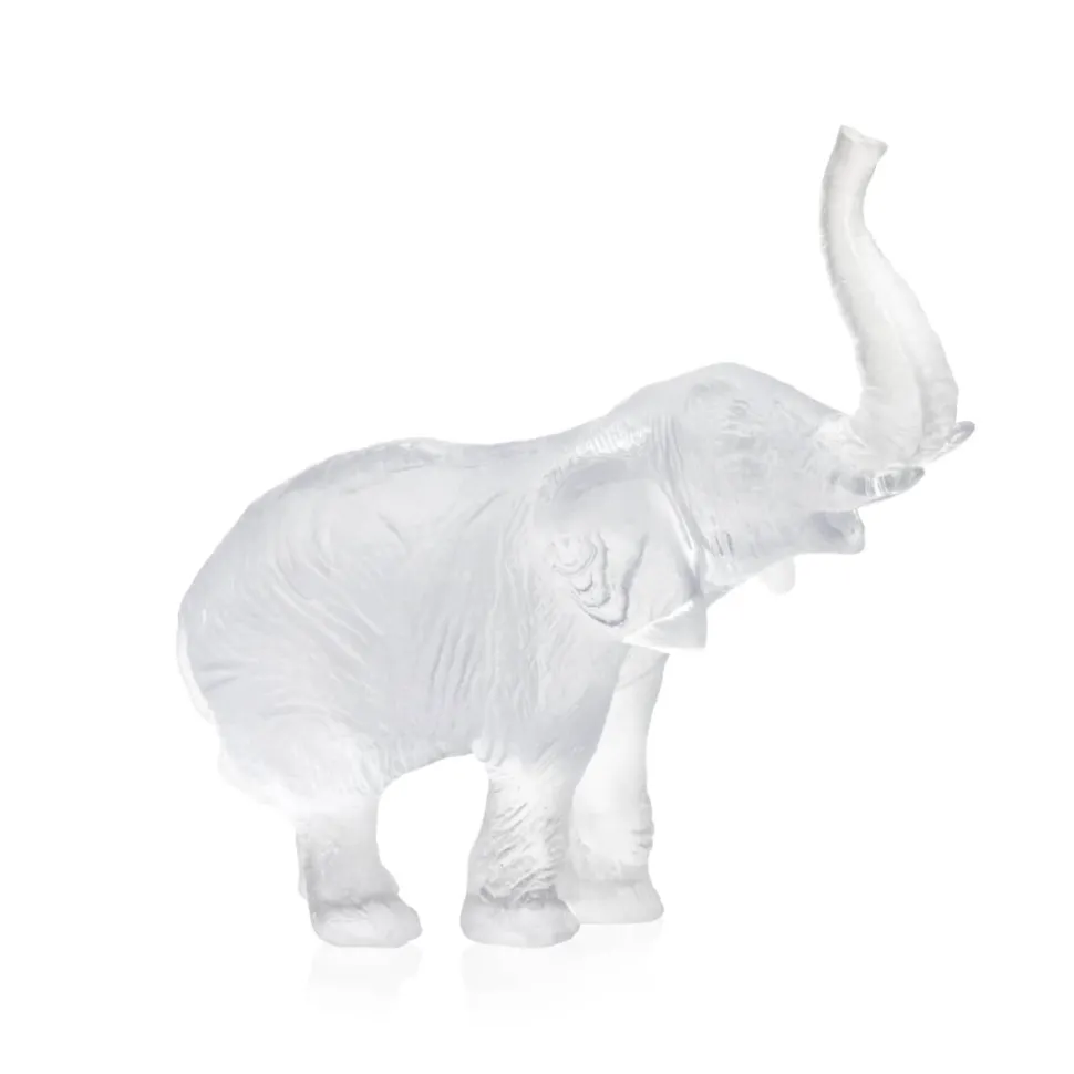 Éléphant blanc mm j.f leroy daum