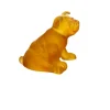 Mini chien ambre daum