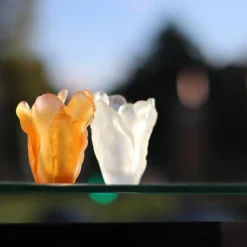 Mini vase tulipe daum