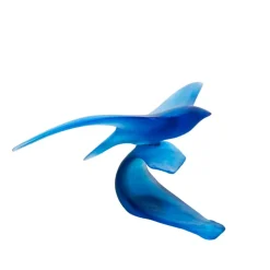 Oiseau marin daum xavier carnoy