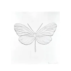 Papillon eternal Hope Damien Hirst & Lalique 2015