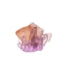 Poisson ambre violet § anemone pm daum