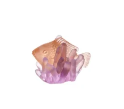 Poisson ambre violet § anemone pm daum