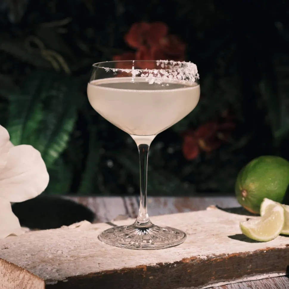 Set 4 coupes champagne perfect serve