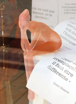 Songe daum mangaud lasseigne sylvie