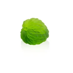 Sugar Apple Tutti Frutti cristal Daum