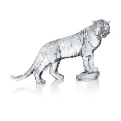 Tigre du bengale baccarat