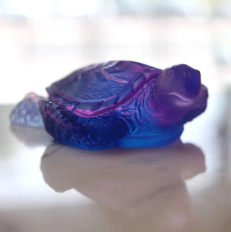 Tortue de mer corail mm daum