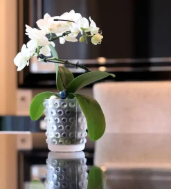 Vase bougie mossi lalique