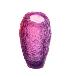 Vase coraux rouge violet daum