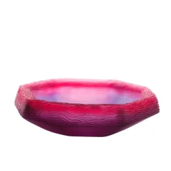 Vase coupe rouge violet coraux Daum