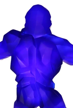 Wild kong bleu orlinski daum