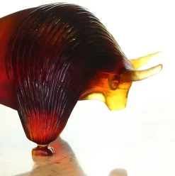 Zébu daum par xavier carnoy