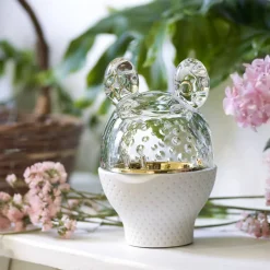 Zoo boîte grenouille baccarat